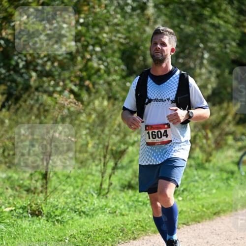 27.09.2026 - 35. Volkslauf durch das schöne Alstertal Dr. Thomas Lammeyer http://msf.ph/oto/10579502 27.09.2026 12:09:20 Laufen 1604 meine-sportfotos.de