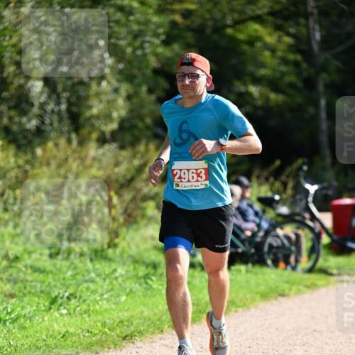 27.09.2026 - 35. Volkslauf durch das schöne Alstertal Dr. Thomas Lammeyer http://msf.ph/oto/10579504 27.09.2026 12:09:24 Laufen 6, 2963 meine-sportfotos.de