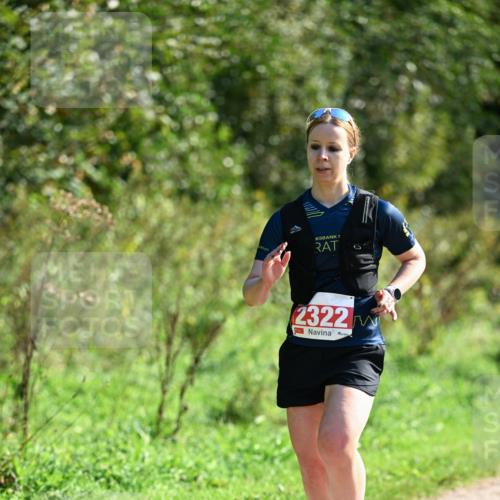 27.09.2026 - 35. Volkslauf durch das schöne Alstertal Dr. Thomas Lammeyer http://msf.ph/oto/10579516 27.09.2026 12:09:29 Laufen 2322 meine-sportfotos.de