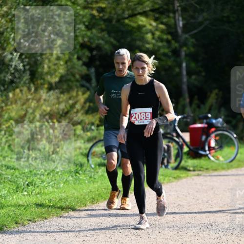 27.09.2026 - 35. Volkslauf durch das schöne Alstertal Dr. Thomas Lammeyer http://msf.ph/oto/10579522 27.09.2026 12:09:35 Laufen 2089 meine-sportfotos.de