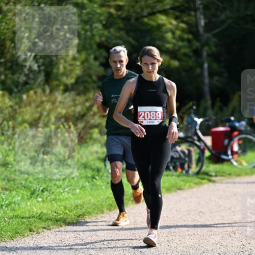 27.09.2026 - 35. Volkslauf durch das schöne Alstertal Dr. Thomas Lammeyer http://msf.ph/oto/10579524 27.09.2026 12:09:35 Laufen 2089 meine-sportfotos.de