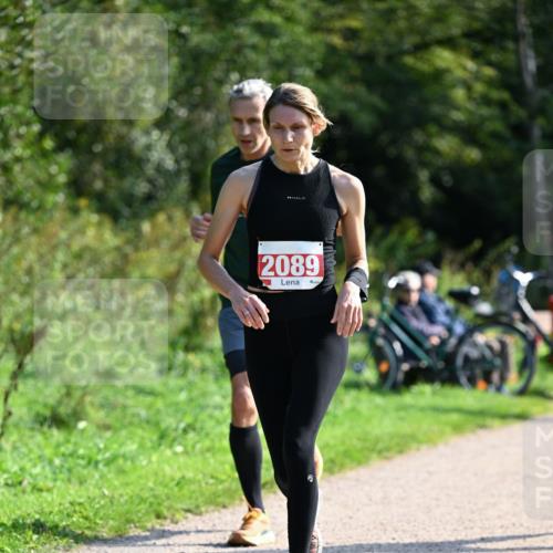 27.09.2026 - 35. Volkslauf durch das schöne Alstertal Dr. Thomas Lammeyer http://msf.ph/oto/10579531 27.09.2026 12:09:36 Laufen 2089 meine-sportfotos.de