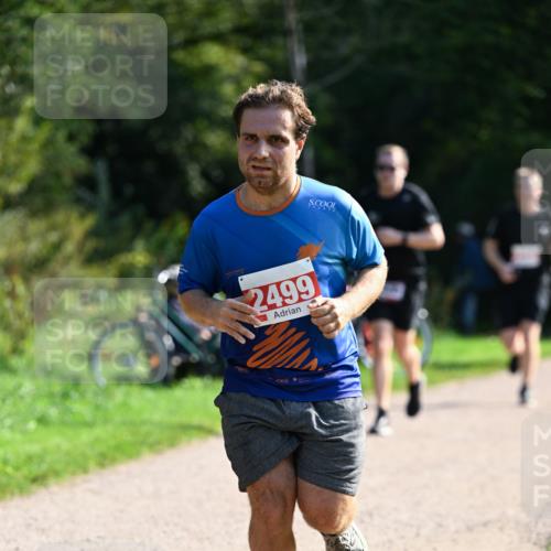 27.09.2026 - 35. Volkslauf durch das schöne Alstertal Dr. Thomas Lammeyer http://msf.ph/oto/10579536 27.09.2026 12:09:37 Laufen 2499 meine-sportfotos.de