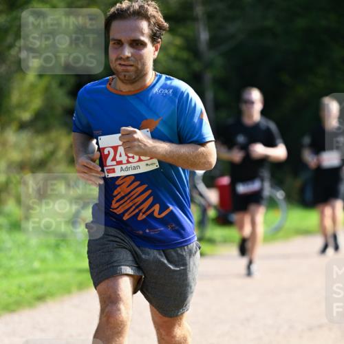 27.09.2026 - 35. Volkslauf durch das schöne Alstertal Dr. Thomas Lammeyer http://msf.ph/oto/10579539 27.09.2026 12:09:37 Laufen 245 meine-sportfotos.de