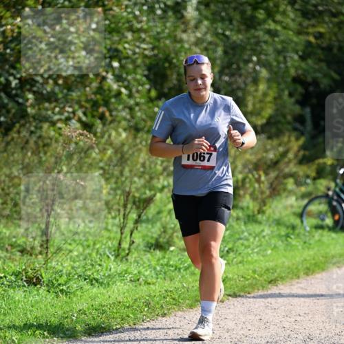 27.09.2026 - 35. Volkslauf durch das schöne Alstertal Dr. Thomas Lammeyer http://msf.ph/oto/10579556 27.09.2026 12:09:45 Laufen 1067 meine-sportfotos.de
