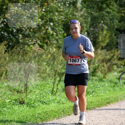 27.09.2026 - 35. Volkslauf durch das schöne Alstertal Dr. Thomas Lammeyer http://msf.ph/oto/10579557 27.09.2026 12:09:45 Laufen 1067 meine-sportfotos.de