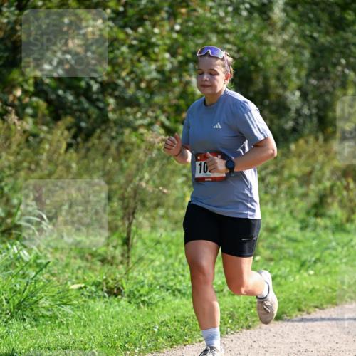 27.09.2026 - 35. Volkslauf durch das schöne Alstertal Dr. Thomas Lammeyer http://msf.ph/oto/10579560 27.09.2026 12:09:45 Laufen 10 meine-sportfotos.de