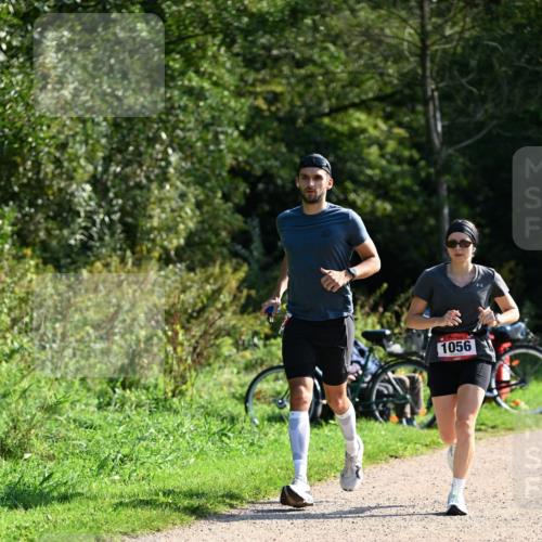 27.09.2026 - 35. Volkslauf durch das schöne Alstertal Dr. Thomas Lammeyer http://msf.ph/oto/10579589 27.09.2026 12:09:54 Laufen 1056 meine-sportfotos.de