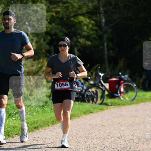 27.09.2026 - 35. Volkslauf durch das schöne Alstertal Dr. Thomas Lammeyer http://msf.ph/oto/10579591 27.09.2026 12:09:55 Laufen 1056 meine-sportfotos.de