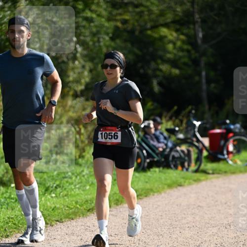 27.09.2026 - 35. Volkslauf durch das schöne Alstertal Dr. Thomas Lammeyer http://msf.ph/oto/10579594 27.09.2026 12:09:56 Laufen 1056 meine-sportfotos.de