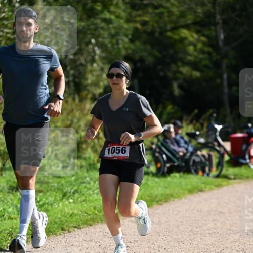 27.09.2026 - 35. Volkslauf durch das schöne Alstertal Dr. Thomas Lammeyer http://msf.ph/oto/10579595 27.09.2026 12:09:56 Laufen 1056 meine-sportfotos.de