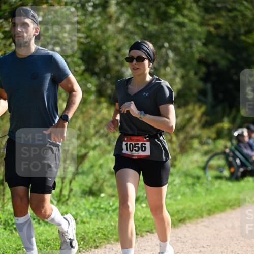 27.09.2026 - 35. Volkslauf durch das schöne Alstertal Dr. Thomas Lammeyer http://msf.ph/oto/10579600 27.09.2026 12:09:56 Laufen 1056 meine-sportfotos.de