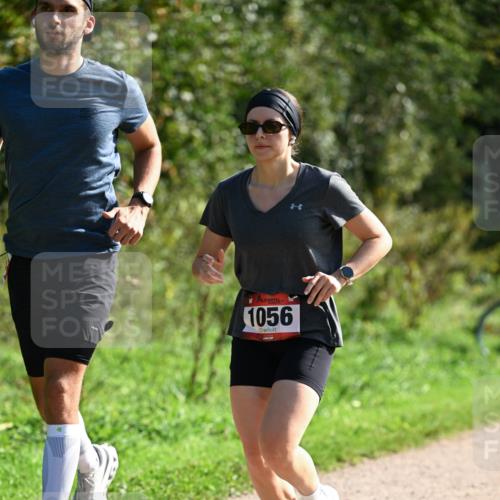 27.09.2026 - 35. Volkslauf durch das schöne Alstertal Dr. Thomas Lammeyer http://msf.ph/oto/10579603 27.09.2026 12:09:57 Laufen 1056 meine-sportfotos.de