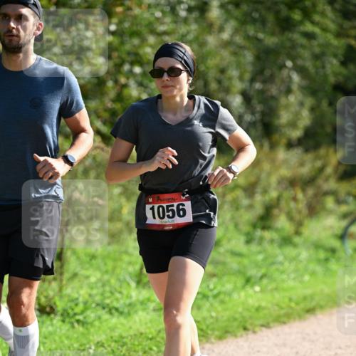 27.09.2026 - 35. Volkslauf durch das schöne Alstertal Dr. Thomas Lammeyer http://msf.ph/oto/10579604 27.09.2026 12:09:57 Laufen 1056 meine-sportfotos.de