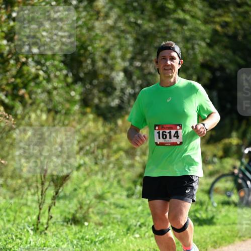 27.09.2026 - 35. Volkslauf durch das schöne Alstertal Dr. Thomas Lammeyer http://msf.ph/oto/10579623 27.09.2026 12:10:06 Laufen 1614 meine-sportfotos.de