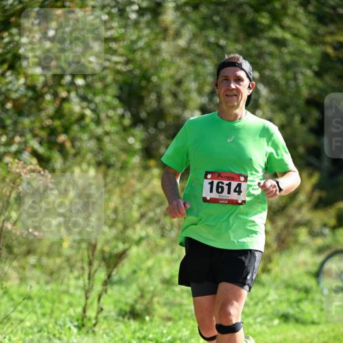 27.09.2026 - 35. Volkslauf durch das schöne Alstertal Dr. Thomas Lammeyer http://msf.ph/oto/10579626 27.09.2026 12:10:06 Laufen 1614 meine-sportfotos.de