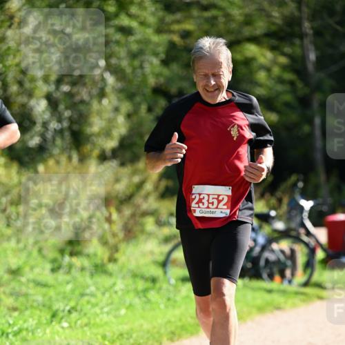 27.09.2026 - 35. Volkslauf durch das schöne Alstertal Dr. Thomas Lammeyer http://msf.ph/oto/10579644 27.09.2026 12:10:10 Laufen 2352 meine-sportfotos.de