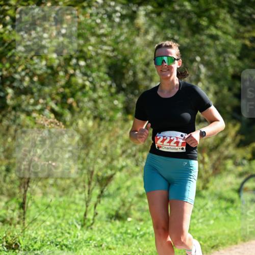 27.09.2026 - 35. Volkslauf durch das schöne Alstertal Dr. Thomas Lammeyer http://msf.ph/oto/10579663 27.09.2026 12:10:33 Laufen 2227 meine-sportfotos.de