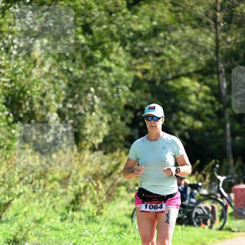 27.09.2026 - 35. Volkslauf durch das schöne Alstertal Dr. Thomas Lammeyer http://msf.ph/oto/10579676 27.09.2026 12:10:51 Laufen 1064 meine-sportfotos.de
