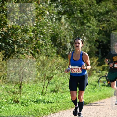 27.09.2026 - 35. Volkslauf durch das schöne Alstertal Dr. Thomas Lammeyer http://msf.ph/oto/10579702 27.09.2026 12:10:58 Laufen 2468, 16 meine-sportfotos.de