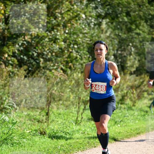 27.09.2026 - 35. Volkslauf durch das schöne Alstertal Dr. Thomas Lammeyer http://msf.ph/oto/10579707 27.09.2026 12:10:58 Laufen 2468 meine-sportfotos.de