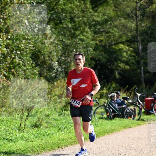 27.09.2026 - 35. Volkslauf durch das schöne Alstertal Dr. Thomas Lammeyer http://msf.ph/oto/10579743 27.09.2026 12:11:07 Laufen 1714 meine-sportfotos.de