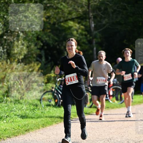27.09.2026 - 35. Volkslauf durch das schöne Alstertal Dr. Thomas Lammeyer http://msf.ph/oto/10579757 27.09.2026 12:11:11 Laufen 2118 meine-sportfotos.de