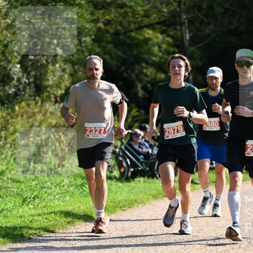 27.09.2026 - 35. Volkslauf durch das schöne Alstertal Dr. Thomas Lammeyer http://msf.ph/oto/10579769 27.09.2026 12:11:13 Laufen 2327, 2979, 480, 9, 29 meine-sportfotos.de