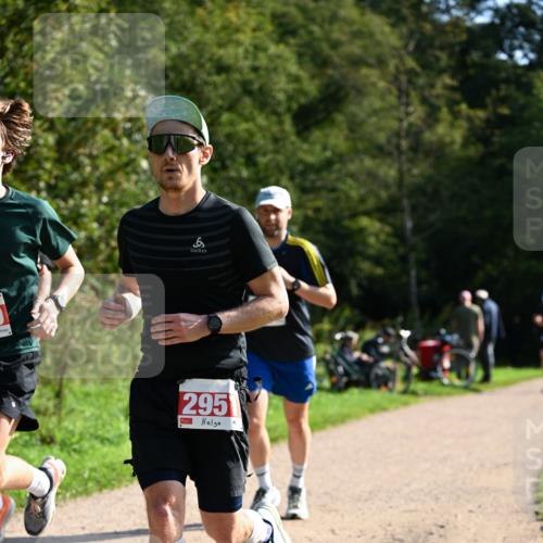 27.09.2026 - 35. Volkslauf durch das schöne Alstertal Dr. Thomas Lammeyer http://msf.ph/oto/10579783 27.09.2026 12:11:15 Laufen 8, 295 meine-sportfotos.de