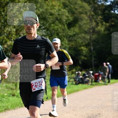 27.09.2026 - 35. Volkslauf durch das schöne Alstertal Dr. Thomas Lammeyer http://msf.ph/oto/10579784 27.09.2026 12:11:15 Laufen 6, 295 meine-sportfotos.de