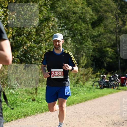 27.09.2026 - 35. Volkslauf durch das schöne Alstertal Dr. Thomas Lammeyer http://msf.ph/oto/10579785 27.09.2026 12:11:15 Laufen 2480 meine-sportfotos.de