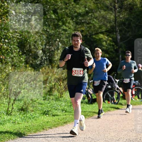 27.09.2026 - 35. Volkslauf durch das schöne Alstertal Dr. Thomas Lammeyer http://msf.ph/oto/10579804 27.09.2026 12:11:27 Laufen 2404, 2497 meine-sportfotos.de