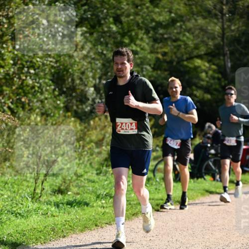 27.09.2026 - 35. Volkslauf durch das schöne Alstertal Dr. Thomas Lammeyer http://msf.ph/oto/10579808 27.09.2026 12:11:27 Laufen 2404, 2497 meine-sportfotos.de