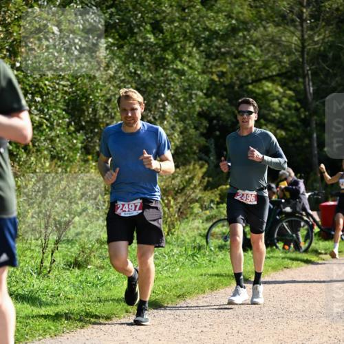 27.09.2026 - 35. Volkslauf durch das schöne Alstertal Dr. Thomas Lammeyer http://msf.ph/oto/10579818 27.09.2026 12:11:28 Laufen 2497, 2496 meine-sportfotos.de