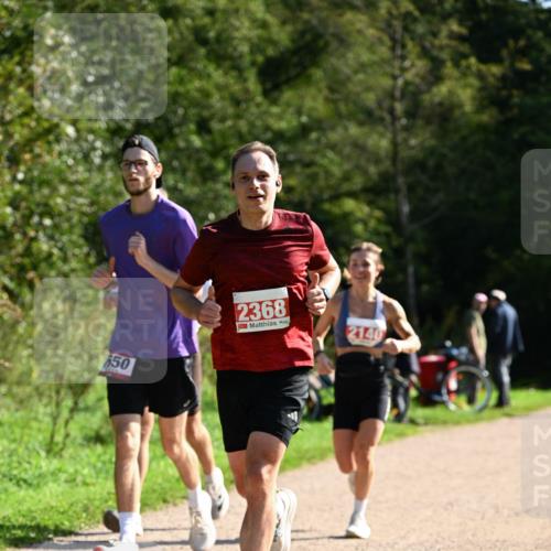27.09.2026 - 35. Volkslauf durch das schöne Alstertal Dr. Thomas Lammeyer http://msf.ph/oto/10579842 27.09.2026 12:11:32 Laufen 650, 2368, 2140 meine-sportfotos.de