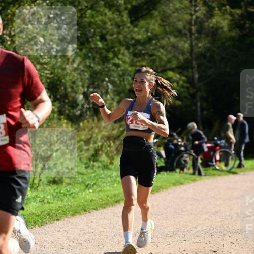 27.09.2026 - 35. Volkslauf durch das schöne Alstertal Dr. Thomas Lammeyer http://msf.ph/oto/10579847 27.09.2026 12:11:33 Laufen  meine-sportfotos.de