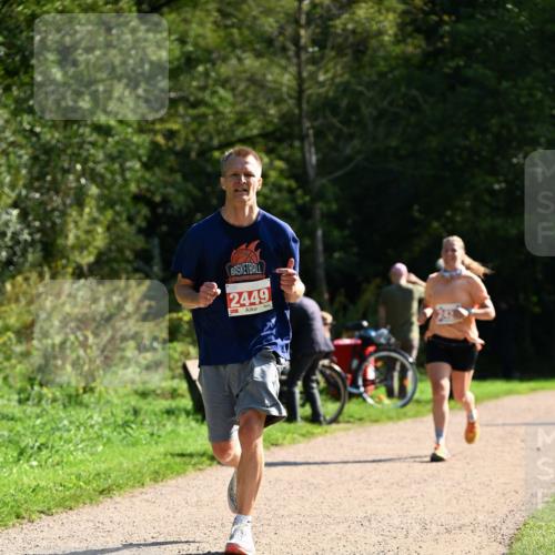 27.09.2026 - 35. Volkslauf durch das schöne Alstertal Dr. Thomas Lammeyer http://msf.ph/oto/10579875 27.09.2026 12:11:42 Laufen 2449, 1 meine-sportfotos.de