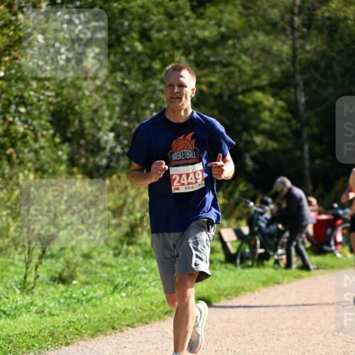 27.09.2026 - 35. Volkslauf durch das schöne Alstertal Dr. Thomas Lammeyer http://msf.ph/oto/10579882 27.09.2026 12:11:43 Laufen 2449 meine-sportfotos.de