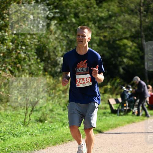 27.09.2026 - 35. Volkslauf durch das schöne Alstertal Dr. Thomas Lammeyer http://msf.ph/oto/10579883 27.09.2026 12:11:43 Laufen 2449 meine-sportfotos.de