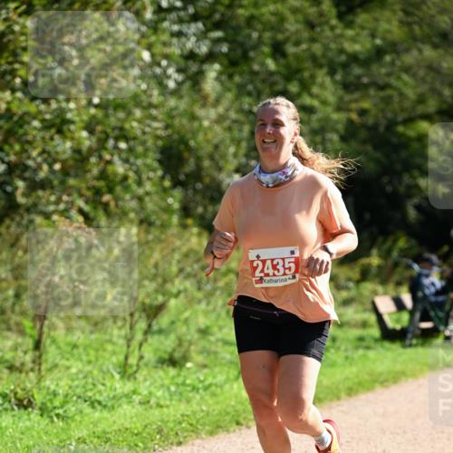 27.09.2026 - 35. Volkslauf durch das schöne Alstertal Dr. Thomas Lammeyer http://msf.ph/oto/10579895 27.09.2026 12:11:46 Laufen 24357 meine-sportfotos.de