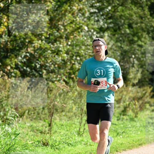 27.09.2026 - 35. Volkslauf durch das schöne Alstertal Dr. Thomas Lammeyer http://msf.ph/oto/10579906 27.09.2026 12:11:54 Laufen 31, 58 meine-sportfotos.de