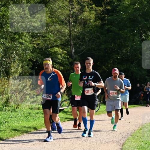 27.09.2026 - 35. Volkslauf durch das schöne Alstertal Dr. Thomas Lammeyer http://msf.ph/oto/10579965 27.09.2026 12:12:26 Laufen 247, 1626, 2189, 2452 meine-sportfotos.de