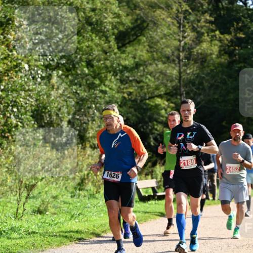 27.09.2026 - 35. Volkslauf durch das schöne Alstertal Dr. Thomas Lammeyer http://msf.ph/oto/10579972 27.09.2026 12:12:26 Laufen 1626, 2189, 2452 meine-sportfotos.de