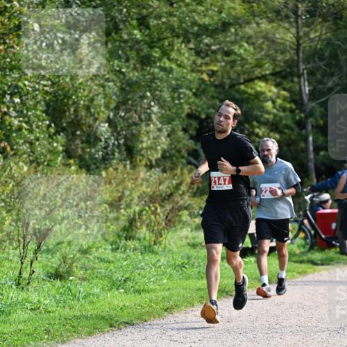 27.09.2026 - 35. Volkslauf durch das schöne Alstertal Dr. Thomas Lammeyer http://msf.ph/oto/10580017 27.09.2026 12:12:34 Laufen 2147 meine-sportfotos.de