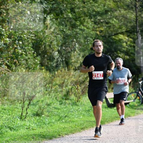 27.09.2026 - 35. Volkslauf durch das schöne Alstertal Dr. Thomas Lammeyer http://msf.ph/oto/10580020 27.09.2026 12:12:35 Laufen 2147, 243 meine-sportfotos.de