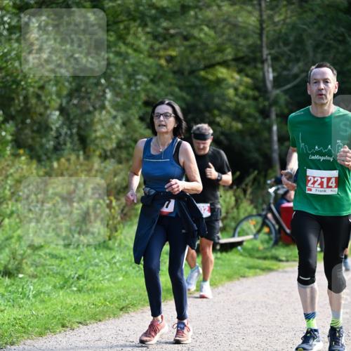 27.09.2026 - 35. Volkslauf durch das schöne Alstertal Dr. Thomas Lammeyer http://msf.ph/oto/10580042 27.09.2026 12:12:38 Laufen 2214 meine-sportfotos.de