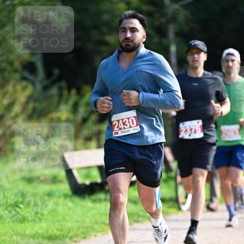 27.09.2026 - 35. Volkslauf durch das schöne Alstertal Dr. Thomas Lammeyer http://msf.ph/oto/10580088 27.09.2026 12:12:49 Laufen 2430 meine-sportfotos.de