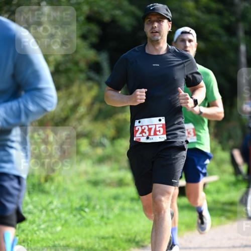 27.09.2026 - 35. Volkslauf durch das schöne Alstertal Dr. Thomas Lammeyer http://msf.ph/oto/10580098 27.09.2026 12:12:50 Laufen 2375 meine-sportfotos.de