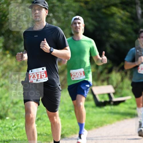 27.09.2026 - 35. Volkslauf durch das schöne Alstertal Dr. Thomas Lammeyer http://msf.ph/oto/10580100 27.09.2026 12:12:51 Laufen 2375, 2503 meine-sportfotos.de