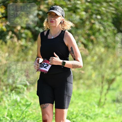 27.09.2026 - 35. Volkslauf durch das schöne Alstertal Dr. Thomas Lammeyer http://msf.ph/oto/10580129 27.09.2026 12:13:01 Laufen 82 meine-sportfotos.de